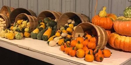 Autumn in South Haven