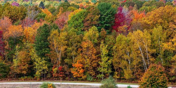 Beautiful fall leaf colors at Silver Lake Sand Dunes