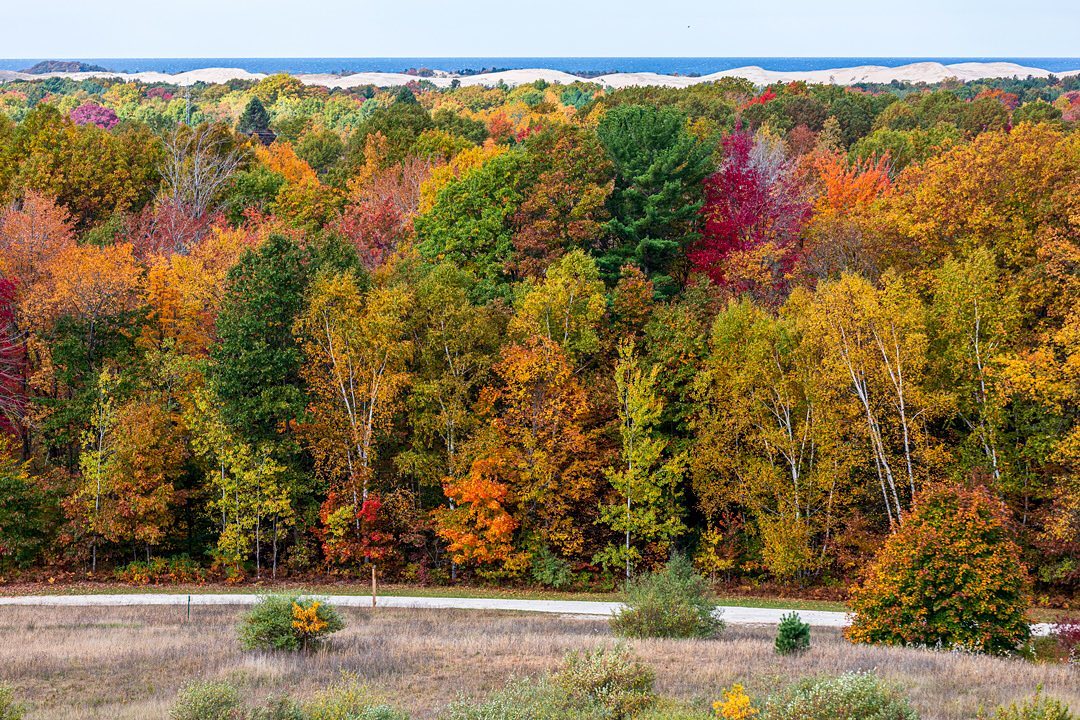 Beautiful fall leaf colors at Silver Lake Sand Dunes