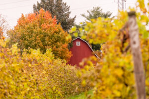 Round Barn Winery in Fall | Photo Credit : Joshua Nowicki 