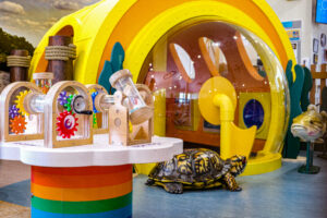 brightly colored STEM play area in Montague Library