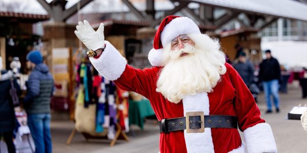 NeriPhoto 20241215H 427