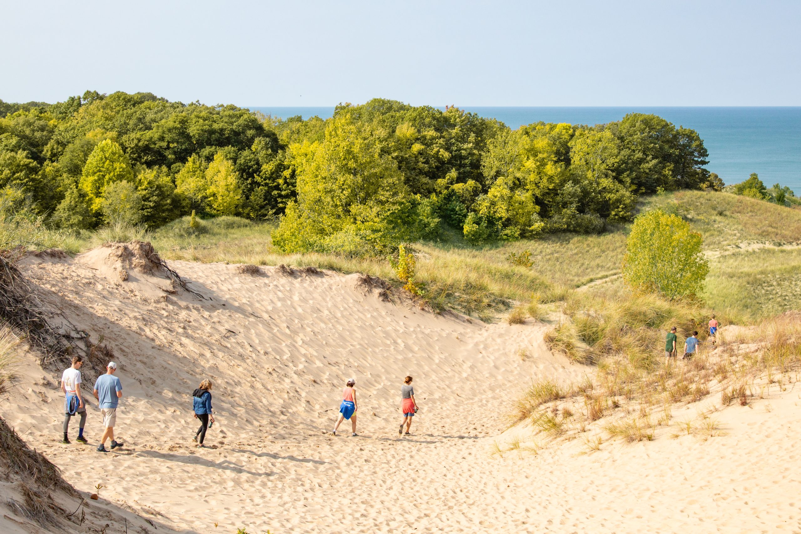 A photo shows a group of people strolling in the dunes on a sunny spring day!
