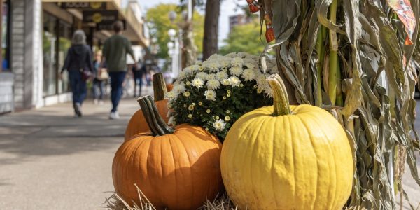 Fall Pumpkins in Downtown St. Joseph
